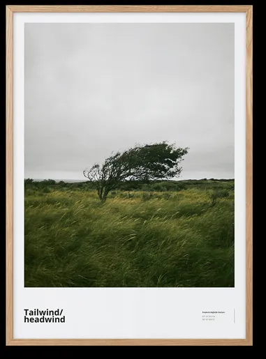 Peléton Tailwind / Headwind 50x70 Juliste