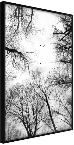 ARTGEIST Juliste kehyksellä - Treetops Musta 40x60